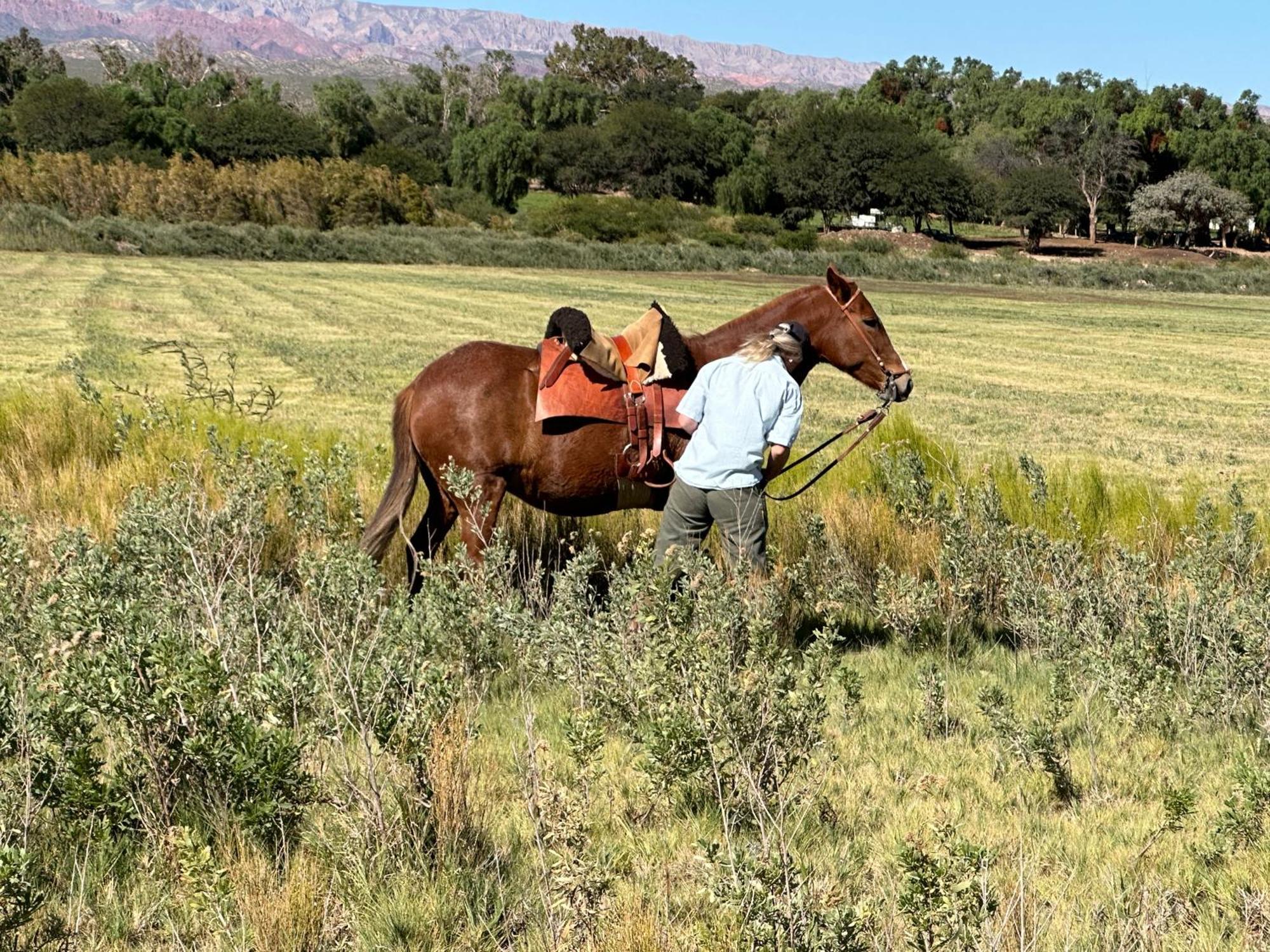 Estancia Banda Grande - Horse & Hiking Safaris مولينوس المظهر الخارجي الصورة