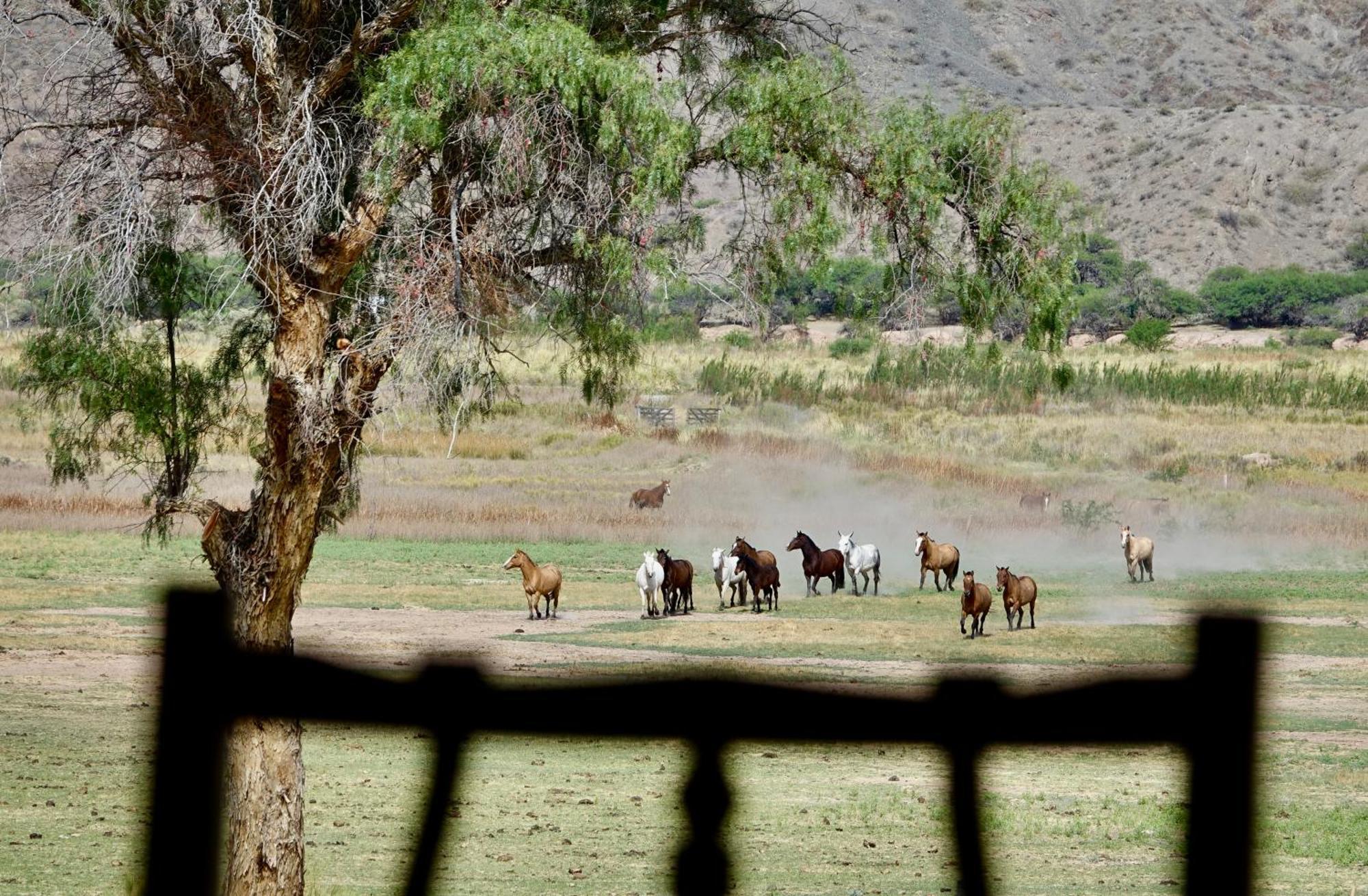 Estancia Banda Grande - Horse & Hiking Safaris مولينوس المظهر الخارجي الصورة