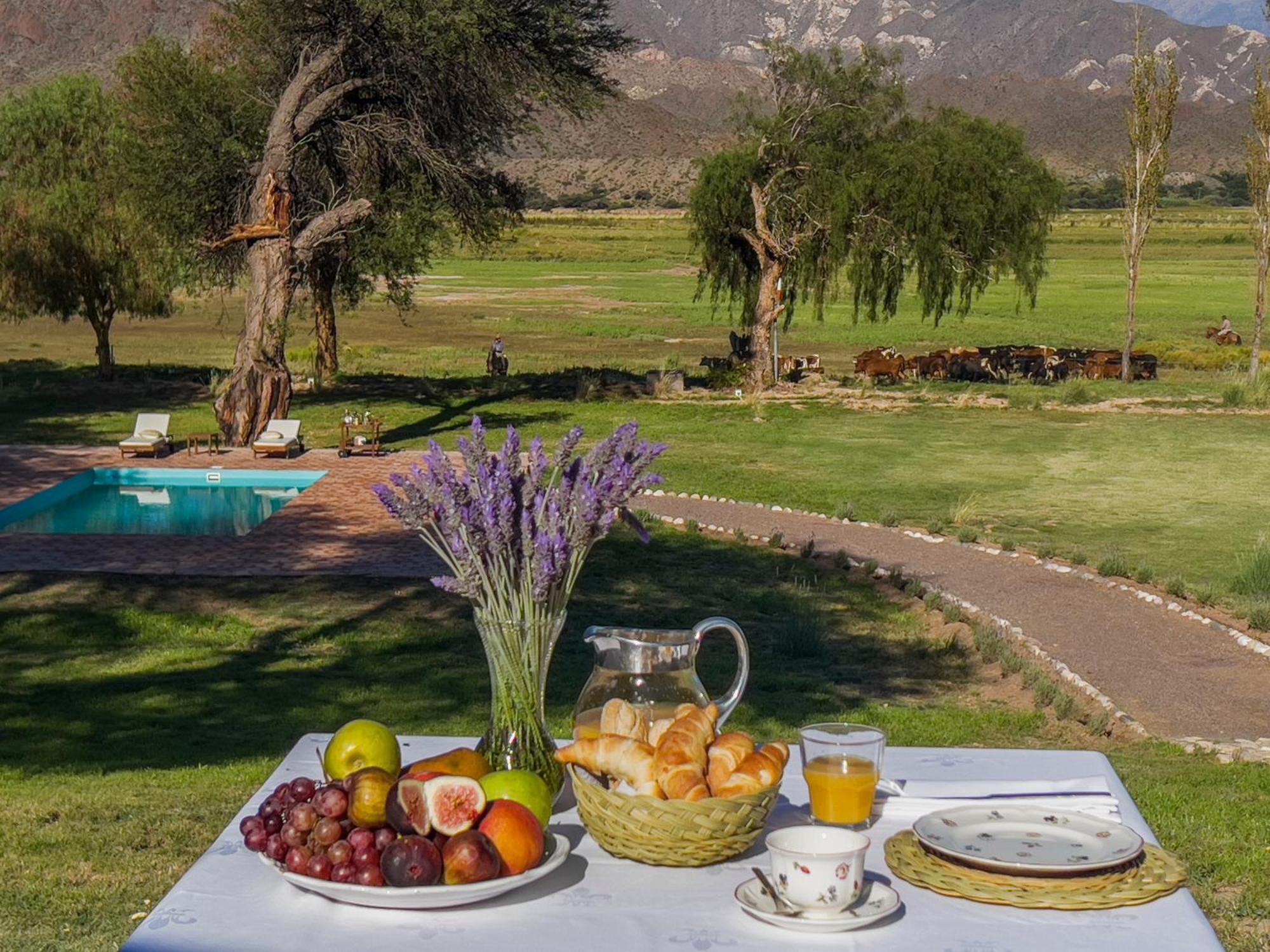Estancia Banda Grande - Horse & Hiking Safaris مولينوس المظهر الخارجي الصورة